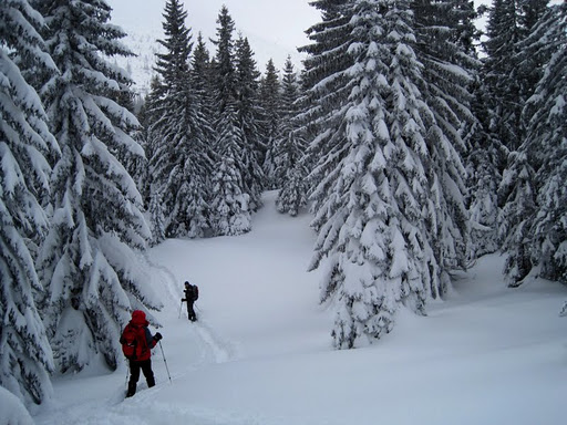 Schneeschuhwandern Kuhschneeberg